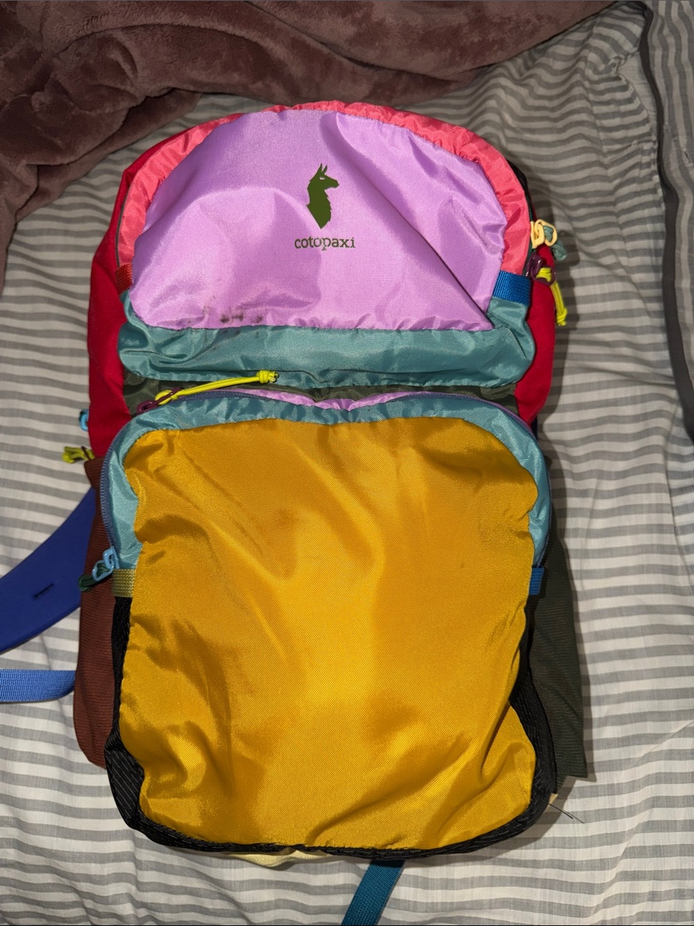 cotopaxi multicolor colorblock women's backpack - yellow/purple/teal/pink/red